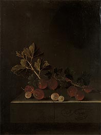 A Sprig of Gooseberries on a Stone Plinth, 1699 by Adriaen Coorte | Giclée Canvas Print