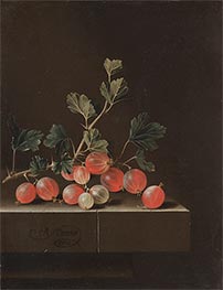 Gooseberries on a Table, 1701 by Adriaen Coorte | Giclée Canvas Print