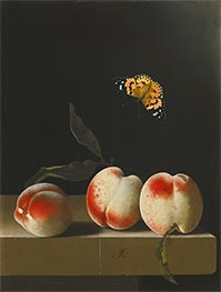 Three Peaches with a Red Admiral Butterfly, undated by Adriaen Coorte | Giclée Canvas Print