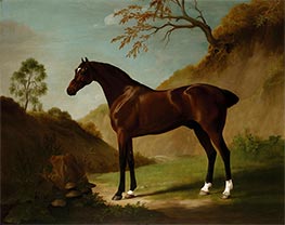 A Dark Bay thoroughbred in a Landscape, c.1762/68 by George Stubbs | Giclée Canvas Print