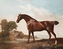 A Chestnut Thoroughbred before a Barn in an Open Landscape, c.1762/68 by George Stubbs | Giclée Canvas Print