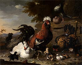 The Peace in the Chicken Yard, 1668 by Melchior d'Hondecoeter | Giclée Canvas Print
