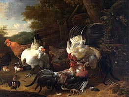 Fighting Roosters, 1668 by Melchior d'Hondecoeter | Giclée Canvas Print