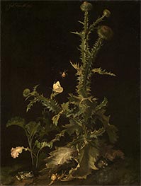 Thistle with Different Animals, 1671 by Willem van Aelst | Giclée Canvas Print