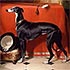 Painting Reproductions of Animals